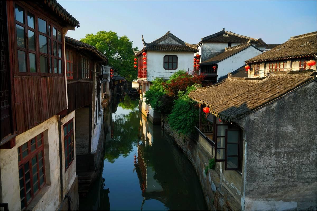 活化石是什么样的生物游戏画面
